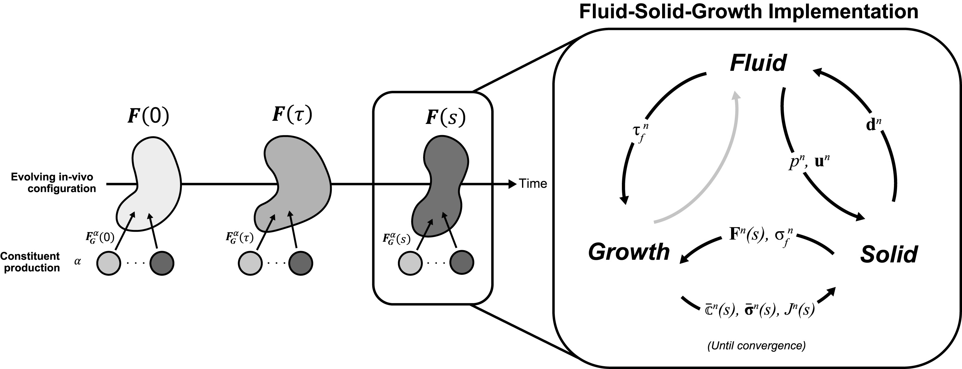 Diagram of fluid-solid-growth solver