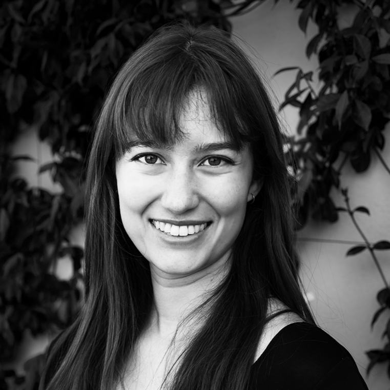 Erica L. Schwarz